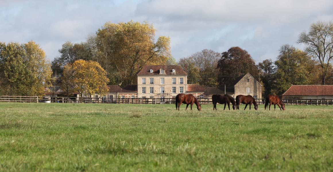Haras_de_la_Tuilerie_Slide_1