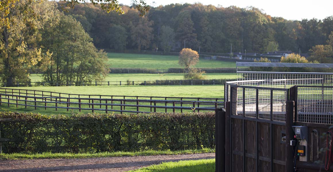 Haras_de_la_Tuilerie_Slide_4