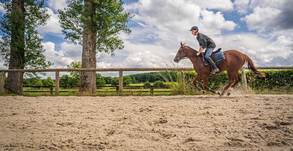 Haras_de_la_Tuilerie_Slide_7