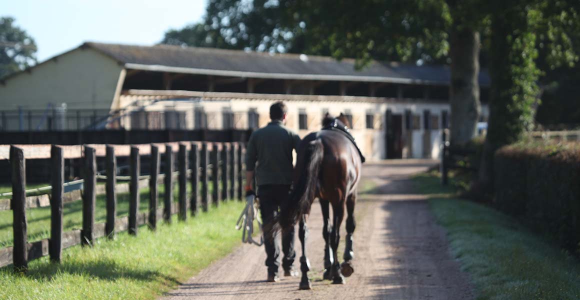Haras_de_la_Tuilerie_Slide_8